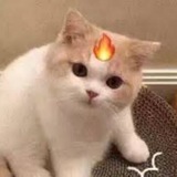 Telegram profile photo for 明白圈|反诈联盟曝光