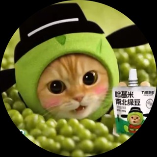 Telegram profile photo for Honest Calls