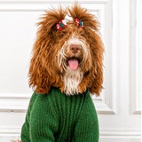 Telegram profile photo for На связи Мелба