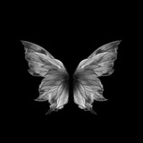 Telegram profile photo for ژنرال دایسونم