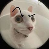 Telegram profile photo for Архив.