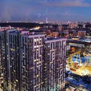 Telegram profile photo for Новости_Поколение 1к4