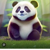 Telegram profile photo for Asss