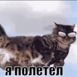 Telegram profile photo for мыслингв стрим