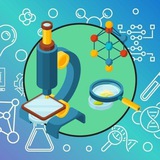 Telegram profile photo for دپارتمان دانشجویی صدرامهر