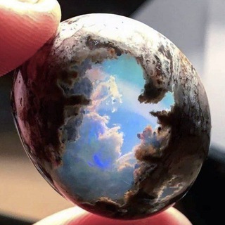 Telegram profile photo for Felix | Various Shares