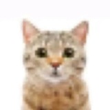 Telegram profile photo for ^_^