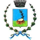 Telegram profile photo for Villa Cortese News