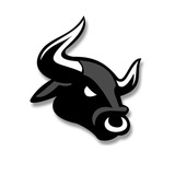Telegram profile photo for Stock Market Updates 🇮🇳