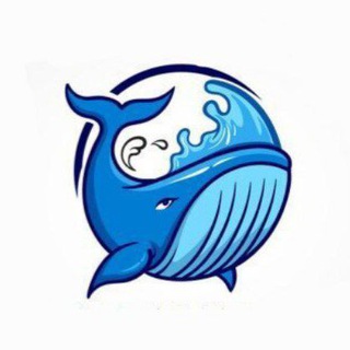 Telegram group profile photo for Whale Divulgações