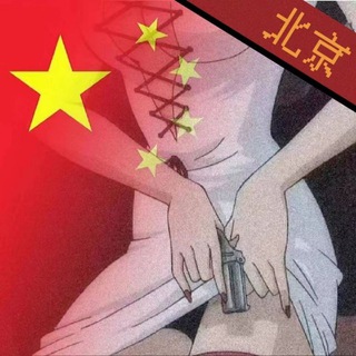 Telegram profile photo for 京城陈辰+资料频道