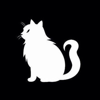 Telegram profile photo for $NEKO Community Portal
