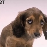 Telegram profile photo for Белая спина