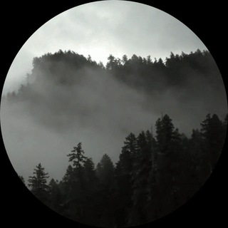 Telegram profile photo for AE Nexus