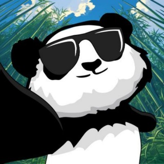 Telegram profile photo for Puni Quest Official Group