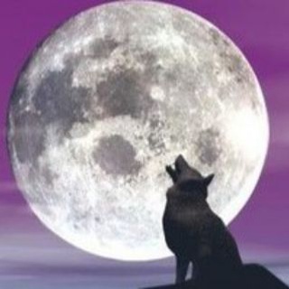 Telegram profile photo for VIP ЮМОР ВКОНТАКТЕ
