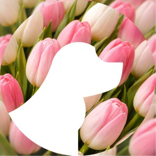 Telegram profile photo for 🐾 GROOM. Держи моду на поводке. 🐶