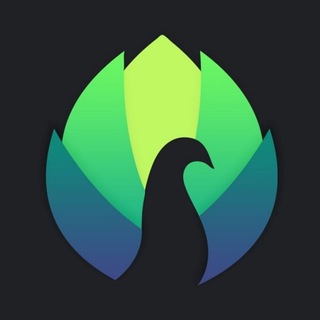 Telegram profile photo for Peafowl Theme Maker App