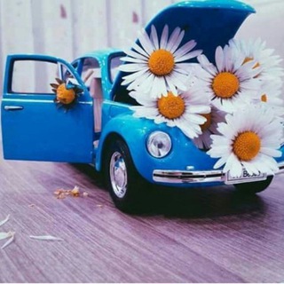 Telegram profile photo for ملصقات اسلامية