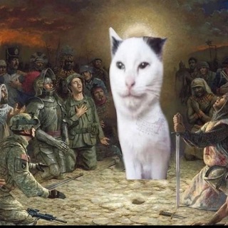 Telegram profile photo for айсенике