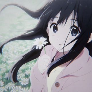 Telegram profile photo for d3rtyy0 | anime material