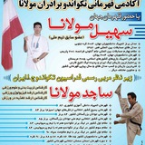 Telegram profile photo for آکادمی قهرمانی تکواندو مولانا