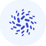 Telegram profile photo for Bau4You🇲🇪 - вакансии, обучение в Черногории