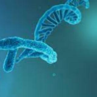 Telegram profile photo for پردازش داده ژنتیک و ژنومیک با هوش مصنوعی و یادگیری عمیق Genetic data analysis; Genomic data processing with AI and deep learning