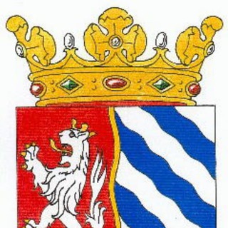 Telegram profile photo for P2000 IJsselland