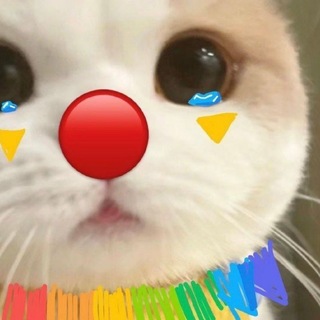 Telegram profile photo for Read pinned @HANAKAGUYA @PIPIWUNS ZARQIYA