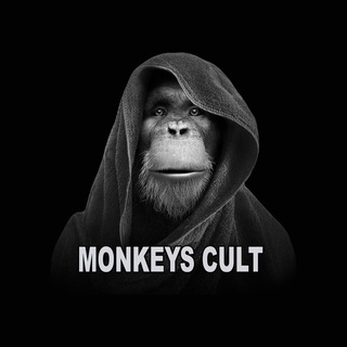 Telegram profile photo for MONKEYS CULT