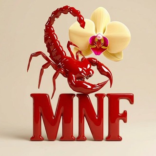 Telegram profile photo for mesh_n_flesh