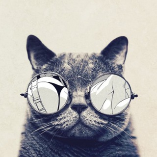 Telegram profile photo for Усатый Редактор