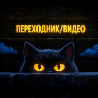 Telegram profile photo for Переходник / видео