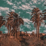 Telegram profile photo for لـوحـة شّـاعـر • ⌯