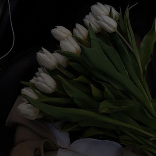 Telegram profile photo for هَارِييت.
