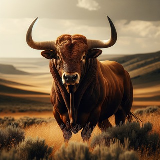 Telegram profile photo for MooMakers 📈