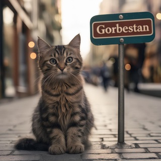 Telegram profile photo for ایالات متحده گوربستان