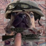 Telegram profile photo for Канал Бобіка
