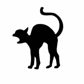 Telegram profile photo for Альфа на выгуле