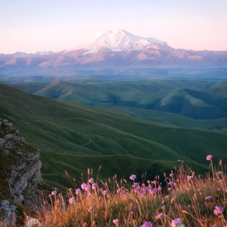 Telegram profile photo for ЮЖНЫЕ СНЫ