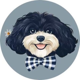 Telegram profile photo for Marvin The Martian | Portal
