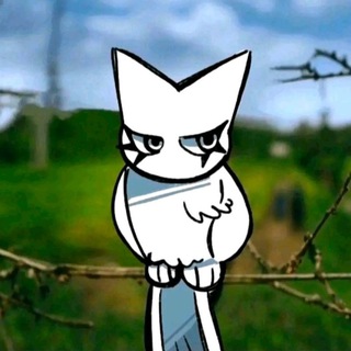 Telegram profile photo for ZeR0's rep