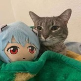 Telegram profile photo for The Voices of The Cringe Cat