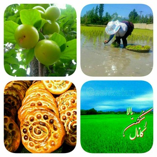 Telegram profile photo for 💚دیار من اشکلن💚