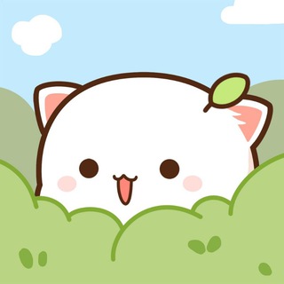 Telegram profile photo for Mitao Cat