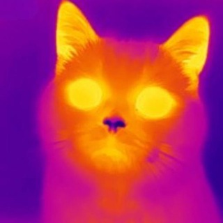 Telegram profile photo for undervalued | portal