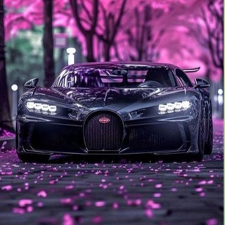 Telegram profile photo for 🚗اتومبیلمحمد (قاسمی)قم🚗