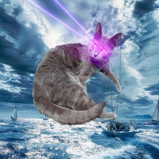 Telegram profile photo for Feral Cats Club