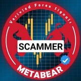 Telegram profile photo for METABEAR FOREX is a scam ❌
